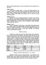 Referāts 'Saules sistēmas rašanās', 4.