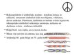 Prezentācija 'Puķu bērni - hipiji', 11.