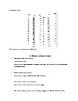 Konspekts 'Elpošanas sistēmas izmeklēšana', 4.