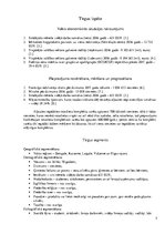 Referāts 'Referāts mārketingā. Pašdarināti rotaslietu komplekti', 5.