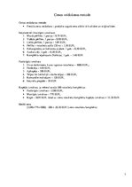 Referāts 'Referāts mārketingā. Pašdarināti rotaslietu komplekti', 7.