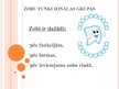 Prezentācija 'Mutes dobuma veselība', 4.