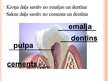 Prezentācija 'Mutes dobuma veselība', 7.