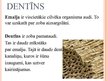 Prezentācija 'Mutes dobuma veselība', 8.