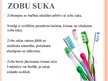 Prezentācija 'Mutes dobuma veselība', 12.