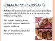 Prezentācija 'Mutes dobuma veselība', 28.