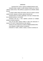 Diplomdarbs 'Uzņēmuma stratēģiskā plānošana', 2.