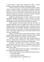 Diplomdarbs 'Uzņēmuma stratēģiskā plānošana', 15.