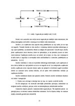 Diplomdarbs 'Uzņēmuma stratēģiskā plānošana', 21.