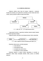 Diplomdarbs 'Uzņēmuma stratēģiskā plānošana', 24.