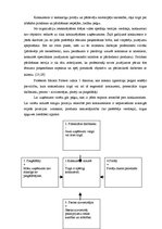 Diplomdarbs 'Uzņēmuma stratēģiskā plānošana', 43.