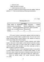 Diplomdarbs 'Uzņēmuma stratēģiskā plānošana', 46.