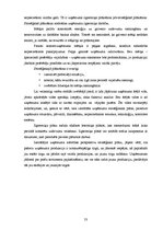 Diplomdarbs 'Uzņēmuma stratēģiskā plānošana', 52.