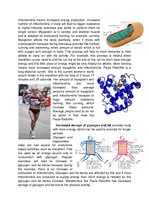 Prezentācija 'The Body’s Response to Chronic Exercise', 3.