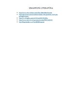 Referāts 'Psilocibīna izmantošana psihoterapijā kā depresijas un trauksmes mazinoša metode', 5.