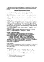 Biznesa plāns 'SIA "Venta"', 6.