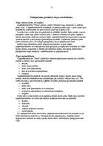 Biznesa plāns 'SIA "Venta"', 13.