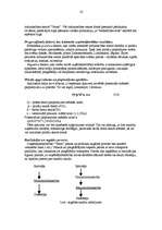 Biznesa plāns 'SIA "Venta"', 16.