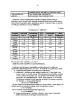 Biznesa plāns 'SIA "Venta"', 19.