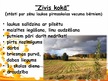 Prezentācija 'Dzidra Rikule Zemzare, viņas darbi bērniem, to izmantošana pedagoģijā', 10.
