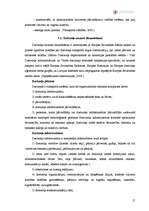 Diplomdarbs 'Valsts akciju sabiedrības "Latvijas Dzelzceļš" kravu pārvadājumu analīze', 15.