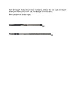 Konspekts 'Integrētās rotļnodarbības plāns ar dabaszinību dominanti', 3.