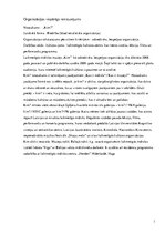 Prakses atskaite 'Laikmetīgās mākslas muzejs "Kim?"', 3.