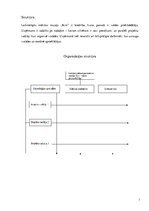 Prakses atskaite 'Laikmetīgās mākslas muzejs "Kim?"', 5.