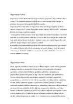 Prakses atskaite 'Laikmetīgās mākslas muzejs "Kim?"', 6.