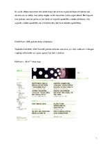 Prakses atskaite 'Laikmetīgās mākslas muzejs "Kim?"', 9.