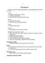 Biznesa plāns 'Lauku tūrisma uzņēmums "X"', 5.