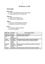 Biznesa plāns 'Lauku tūrisma uzņēmums "X"', 18.