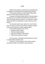 Referāts 'Ražošanas procesa organizācija uzņēmumā', 3.