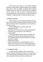 Referāts 'Ražošanas procesa organizācija uzņēmumā', 10.