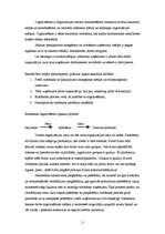 Referāts 'Ražošanas procesa organizācija uzņēmumā', 11.