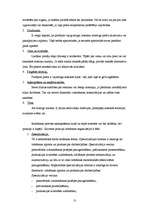 Referāts 'Ražošanas procesa organizācija uzņēmumā', 13.