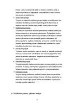 Referāts 'Ražošanas procesa organizācija uzņēmumā', 15.