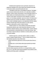 Referāts 'Ražošanas procesa organizācija uzņēmumā', 17.