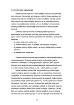 Referāts 'Ražošanas procesa organizācija uzņēmumā', 18.