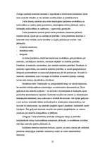 Referāts 'Ražošanas procesa organizācija uzņēmumā', 22.