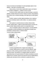 Referāts 'Ražošanas procesa organizācija uzņēmumā', 24.