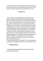 Referāts 'Septiņi pasaules brīnumi', 4.