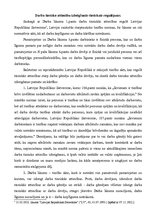 Referāts 'Darba tiesisko attiecību izbeigšanās tiesiskais regulējums', 1.