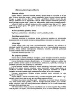 Biznesa plāns 'SIA "Lauku bode"', 3.