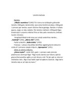 Referāts 'Ilonas Leimanes darbs "Vilkaču mantiniece"', 4.