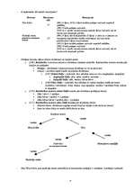 Konspekts 'Mantojuma tiesības', 13.