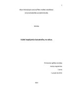 Referāts 'Valstī iespējamās katastrofas, to sekas', 1.