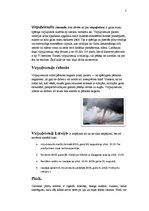 Referāts 'Valstī iespējamās katastrofas, to sekas', 5.