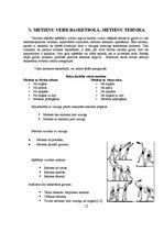 Referāts 'Metiens basketbolā un tā tehniskais izpildījums', 11.