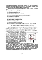 Referāts 'Metiens basketbolā un tā tehniskais izpildījums', 14.